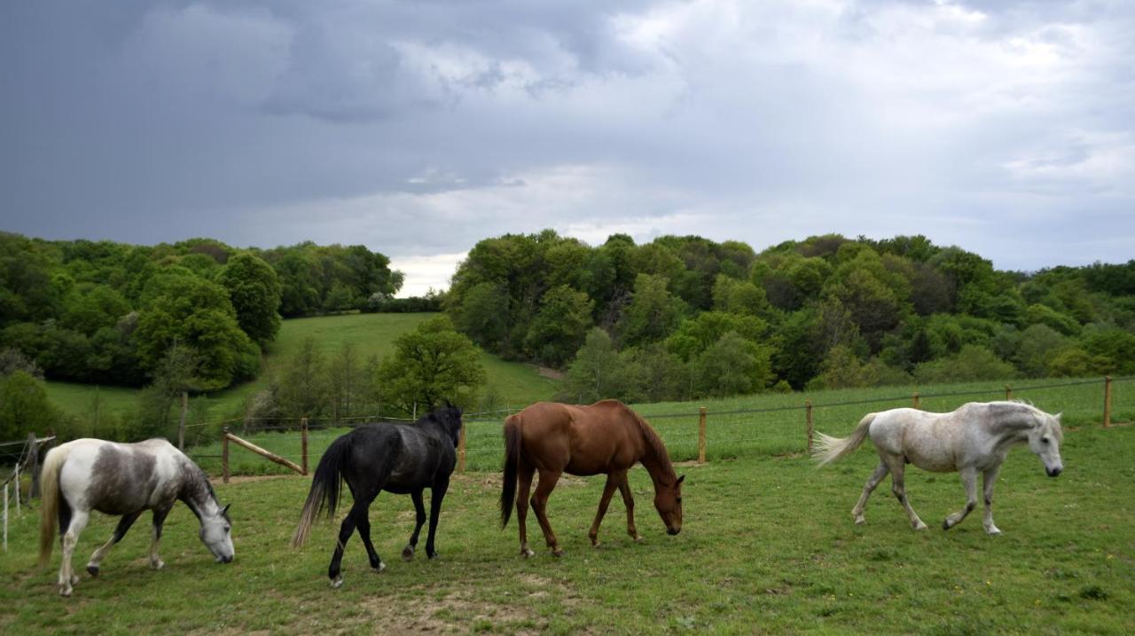 Gîte le pré des Colombes Troche Extérieur photo